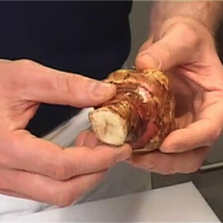 Topinambur und seine Verwendungsmöglichkeiten Topinambur und seine Verwendungsmöglichkeiten