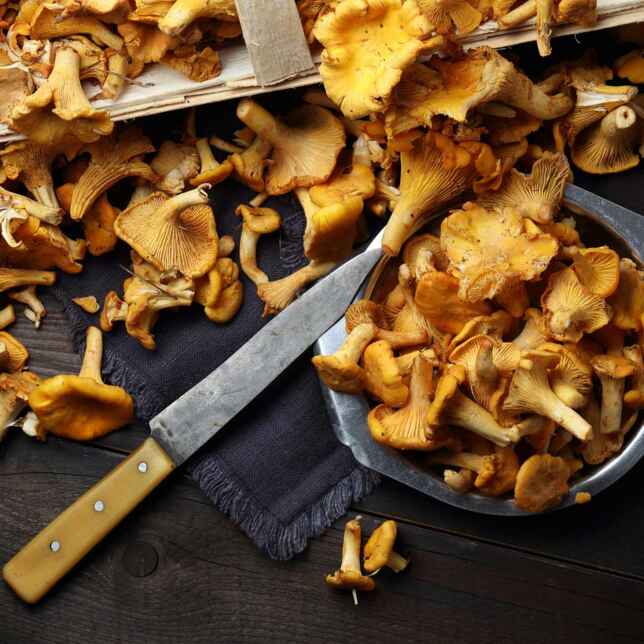 Polenta mit Pfifferlingen und Nussbutter Rezept | Küchengötter Polenta mit Pfifferlingen und Nussbutter Rezept | Küchengötter