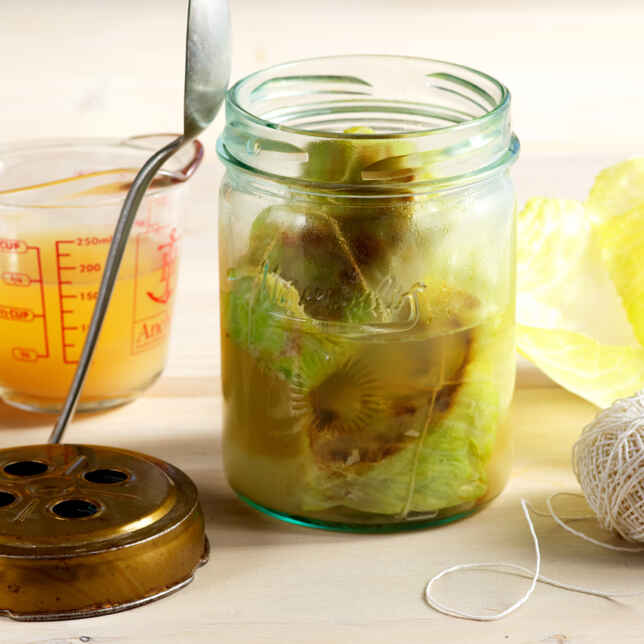 Arabische Kohlrouladen Rezept | Küchengötter Arabische Kohlrouladen Rezept | Küchengötter