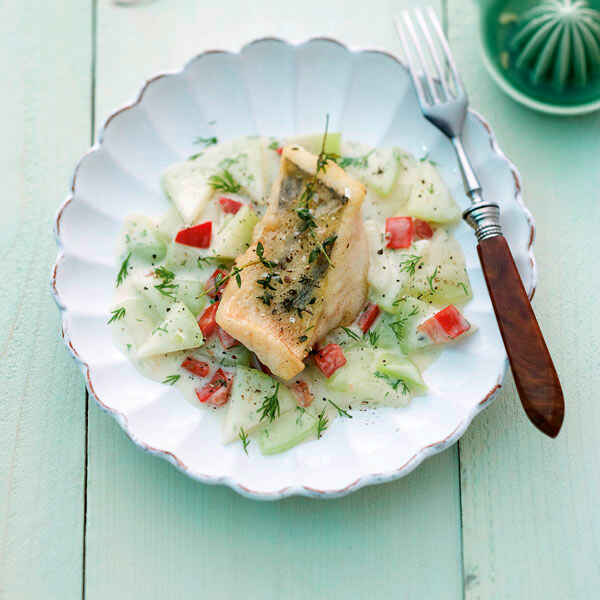 Gebratener Zander | Johann Lafer Rezept | Küchengötter Gebratener Zander | Johann Lafer Rezept | Küchengötter