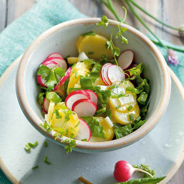 Bunter Kartoffelsalat mit Radieschen Rezept | Küchengötter