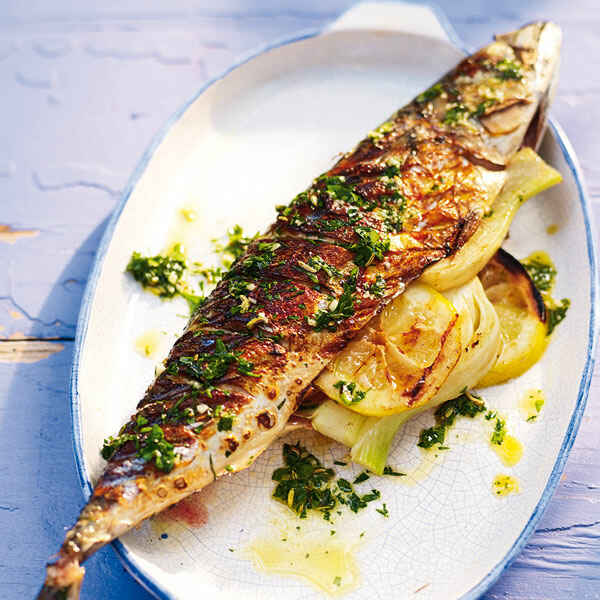 Gegrillte Makrelen mit Kräutern Rezept | Küchengötter Gegrillte Makrelen mit Kräutern Rezept | Küchengötter
