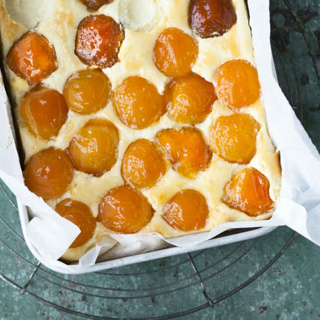 Aprikosen-Quark-Kuchen Rezept | Küchengötter Aprikosen-Quark-Kuchen Rezept | Küchengötter