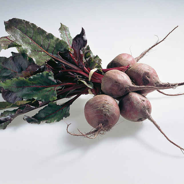 Eingelegte Ringelbete Rezept | Küchengötter