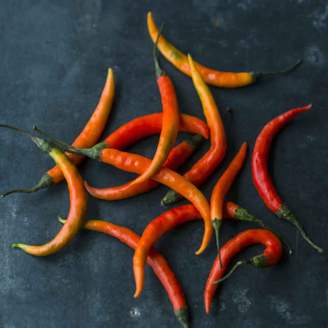 Chilis mit Käsefüllung Rezept | Küchengötter