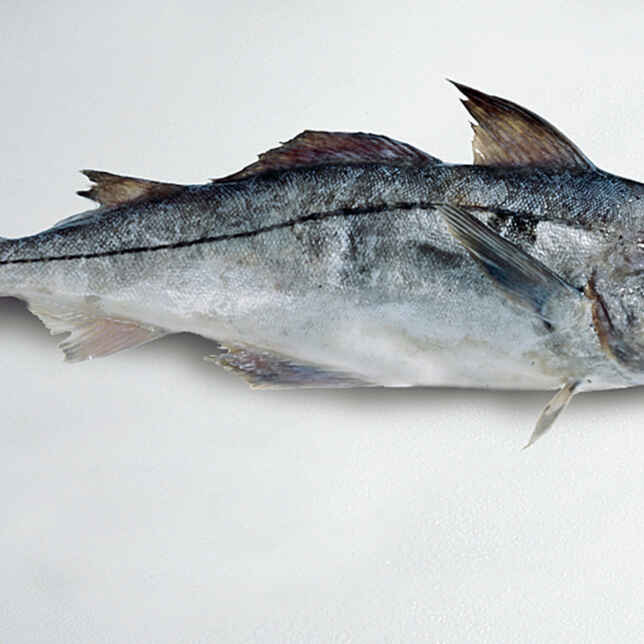 Schellfisch mit Steinpilz-Senf-Sauce Rezept | Küchengötter Schellfisch mit Steinpilz-Senf-Sauce Rezept | Küchengötter