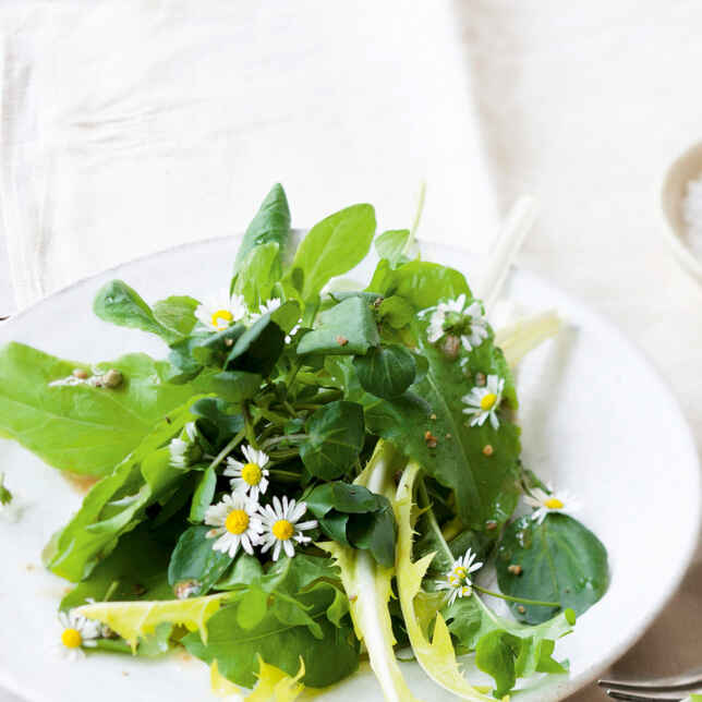 Brunnenkressesalat mit Wildkräutern und Blüten Rezept | Küchengötter