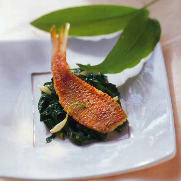 Spinat mit Knoblauch Rezept | Küchengötter Spinat mit Knoblauch Rezept | Küchengötter