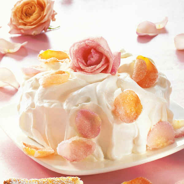 Rezepte für Schokoladentorten | Küchengötter