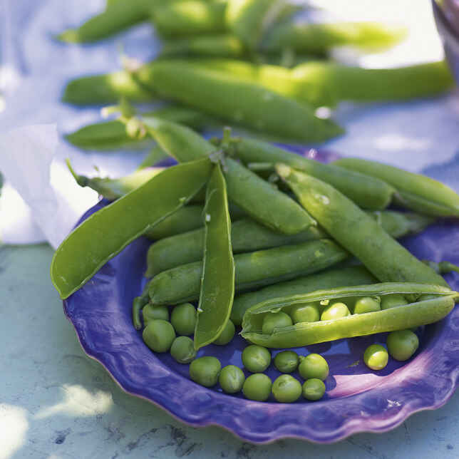 Mildes Erbsenpüree mit Minze und Pinienkernen Rezept | Küchengötter Mildes Erbsenpüree mit Minze und Pinienkernen Rezept | Küchengötter
