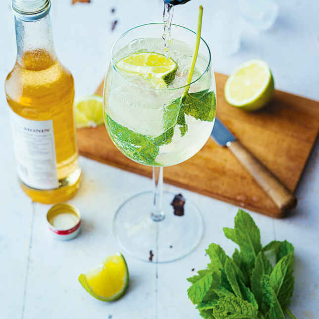 Hugo Rezept| Prosecco-Holunderblüten-Cocktail | Küchengötter