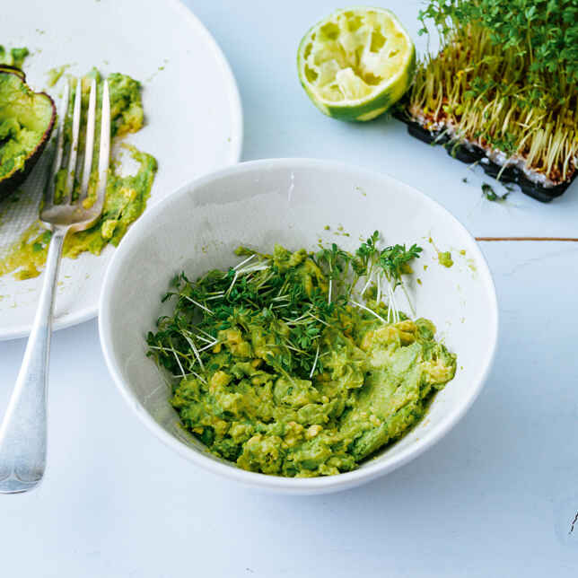 Scharfe Garnelen auf Avocadocreme Rezept | Küchengötter Scharfe Garnelen auf Avocadocreme Rezept | Küchengötter