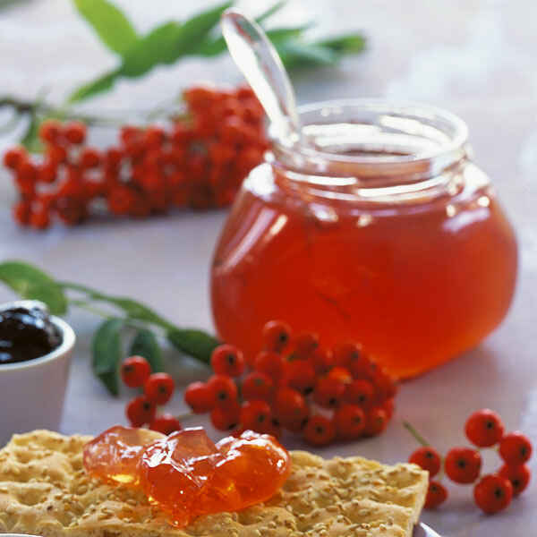 Birnenmus mit Vanille und Zimt Rezept | Küchengötter Birnenmus mit Vanille und Zimt Rezept | Küchengötter