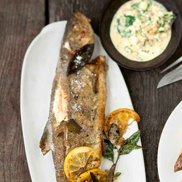 Gebackene Kräuterforelle mit warmem Möhrensalat Rezept | Küchengötter Gebackene Kräuterforelle mit warmem Möhrensalat Rezept | Küchengötter