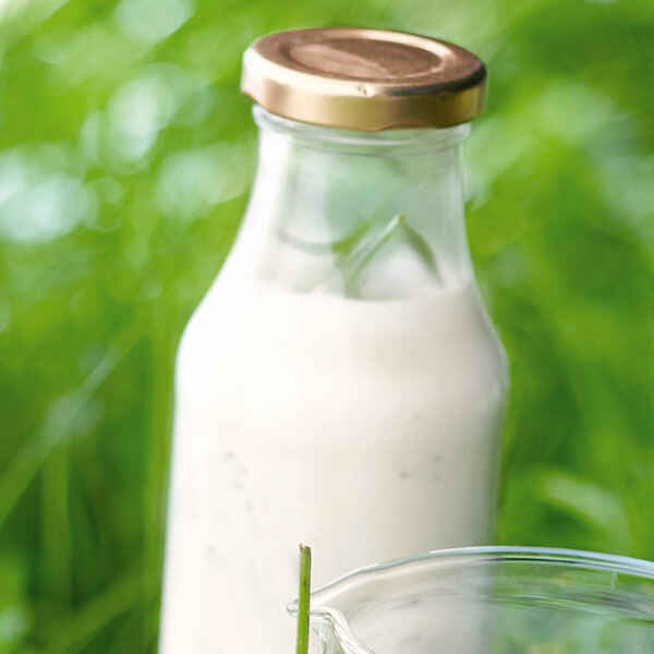 Minze-Joghurt-Dressing Rezept | Küchengötter Minze-Joghurt-Dressing Rezept | Küchengötter