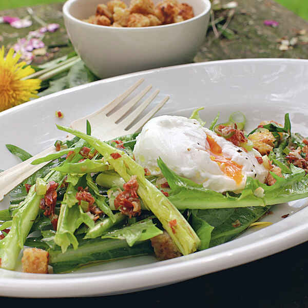 Löwenzahnsalat Rezept | Küchengötter Löwenzahnsalat Rezept | Küchengötter