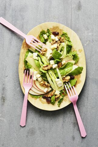 Rucolasalat mit Fenchel Rucolasalat mit Fenchel