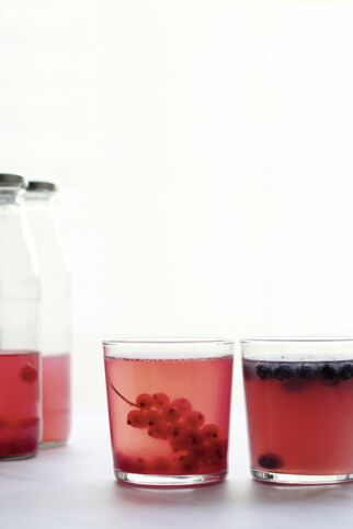 Wasserkefir Wasserkefir