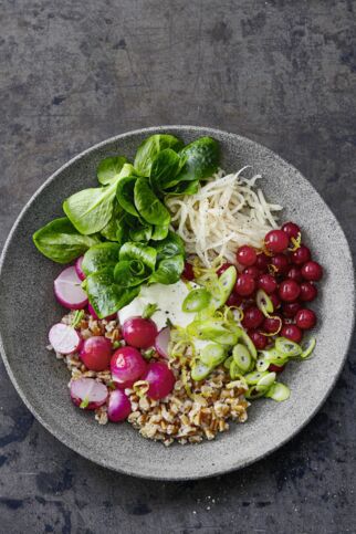 Nordic Bowl mit Dinkel Nordic Bowl mit Dinkel