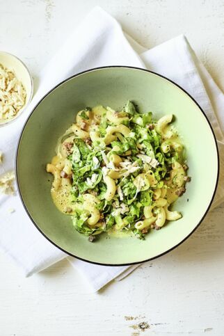 Nudel-Endivien-Salat Nudel-Endivien-Salat