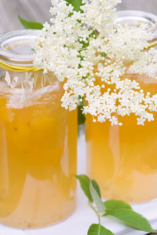 Zitronengelee mit Holunderblüten Zitronengelee mit Holunderblüten