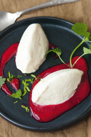 Frozen Joghurt mit Himbeerpüree Frozen Joghurt mit Himbeerpüree