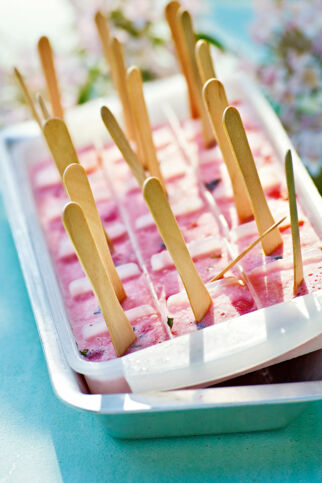 Erdbeer-Joghurt-Popsicles