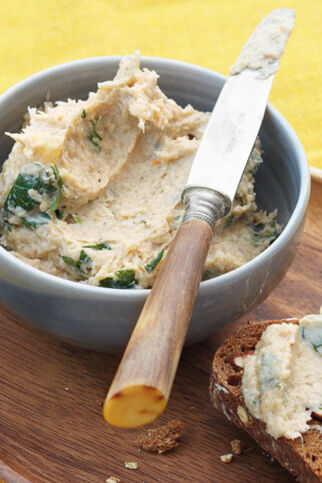 Pastinaken-Haselnuss-Creme Pastinaken-Haselnuss-Creme