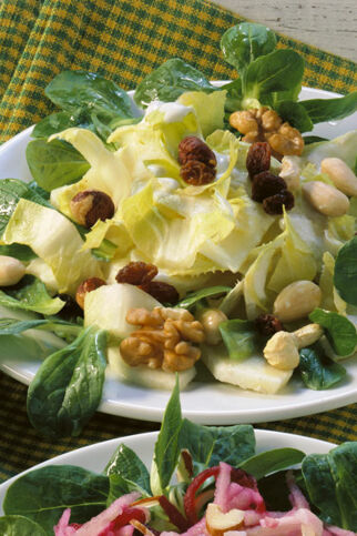 Apfel-Chicorée-Salat Apfel-Chicorée-Salat