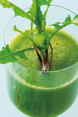 Wilde Hilde Wilde Hilde