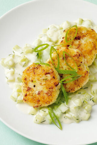 Fischfrikadellen mit Gurkenragout Fischfrikadellen mit Gurkenragout