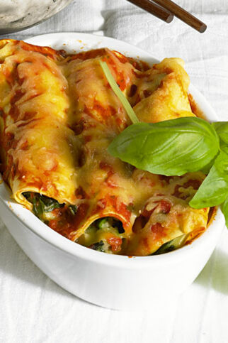 Seelachs-Cannelloni Seelachs-Cannelloni