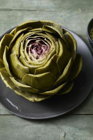 Gekochte Artischocke mit Koriander-Senf-Dip Gekochte Artischocke mit Koriander-Senf-Dip