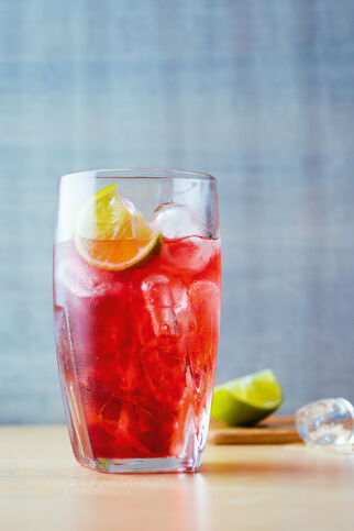 Cape Codder Cape Codder