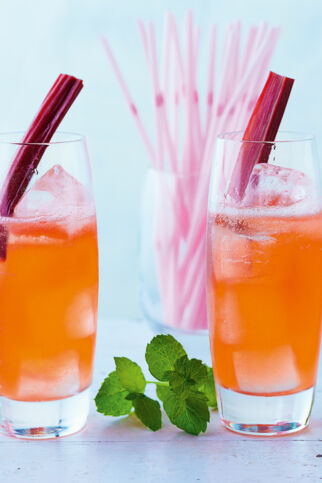 Rhubarb Mint Cooler Rhubarb Mint Cooler