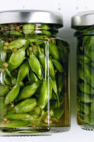 Bärlauchkapern Bärlauchkapern