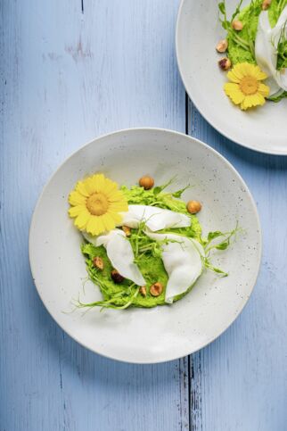 Kohlrabi-Ravioli mit Thymian-Frischkäse, Erbsencreme und Haselnüssen Kohlrabi-Ravioli mit Thymian-Frischkäse, Erbsencreme und Haselnüssen