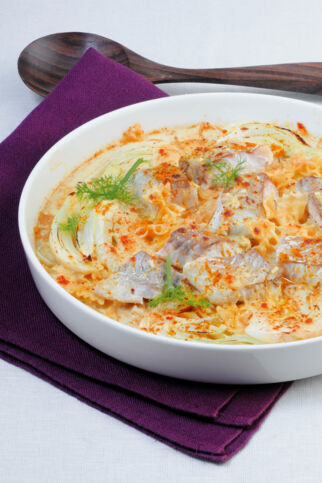 Fenchel-Fisch-Gratin Fenchel-Fisch-Gratin