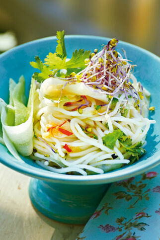 Asiatischer Gurken-Nudel-Salat Asiatischer Gurken-Nudel-Salat