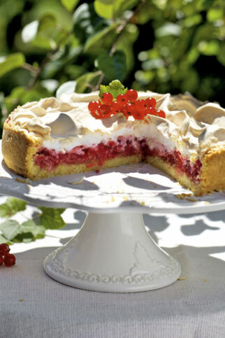 Johannisbeerkuchen aus Mürbeteig, roten Johannisbeeren und Baiser als Topping Johannisbeerkuchen mit Baiserhaube