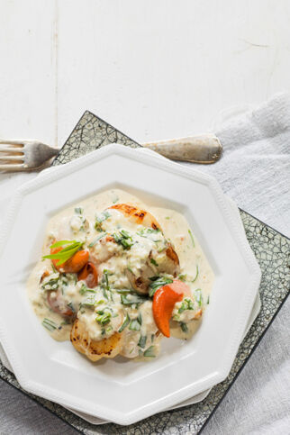 Jakobsmuscheln in Estragonsauce Jakobsmuscheln in Estragonsauce