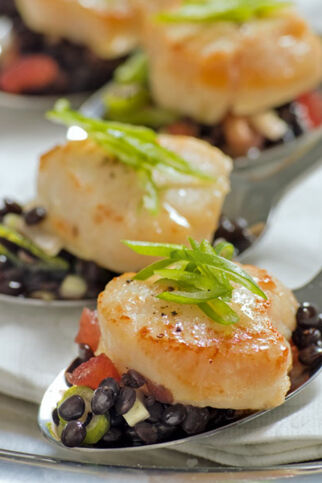 Jakobsmuscheln auf Kaviarlinsen Jakobsmuscheln auf Kaviarlinsen