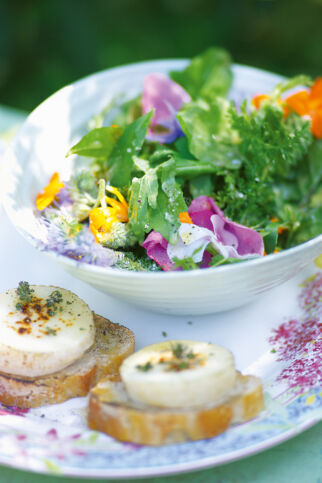 Kräuter-Blüten-Salat mit Ziegenkäse und Holundervinaigrette Kräuter-Blüten-Salat mit Ziegenkäse und Holundervinaigrette