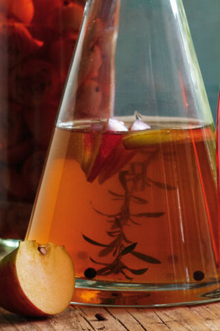 Apfel-Estragon-Essig Apfel-Estragon-Essig