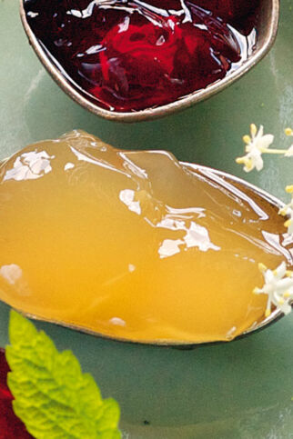 Holunderblütengelee Holunderblütengelee