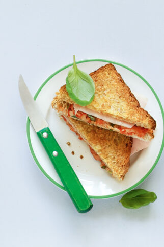 Tomaten-Schinken-Toast Tomaten-Schinken-Toast