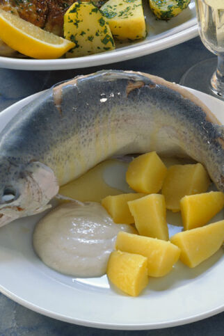 Forelle blau Forelle blau