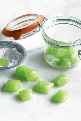 Pfefferminz-Seidenkissen Pfefferminz-Seidenkissen