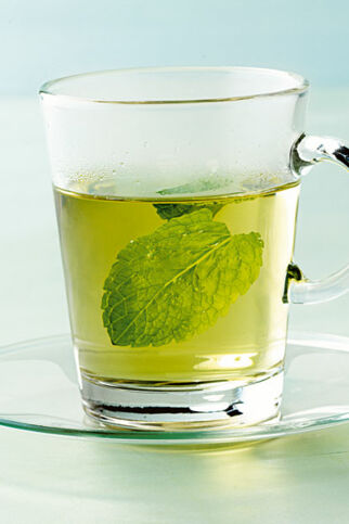 Frischer Pfefferminztee Frischer Pfefferminztee