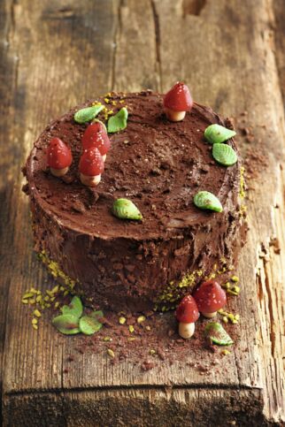 Baumstammtorte Baumstammtorte